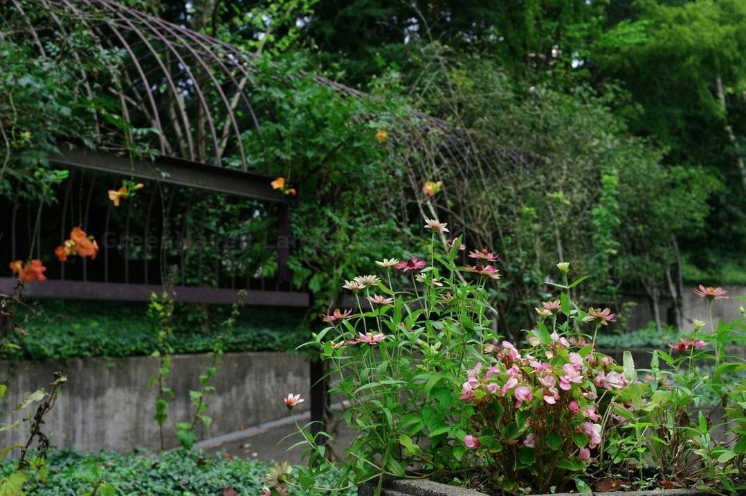Planning a Small Patio Space That Gets Used