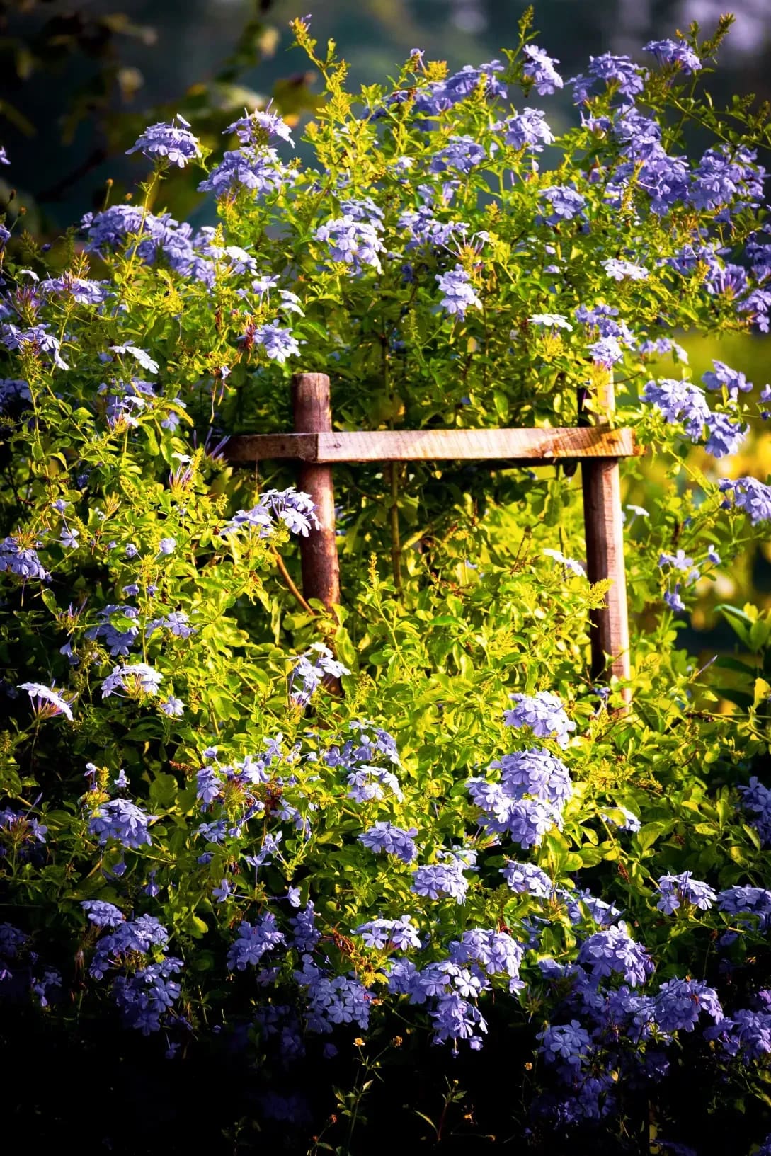 GreenHaven Landscapes 1